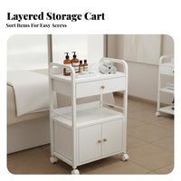 Large Capacity Salon Trolley Cart Effortless Mobility Rolling Salon Trolley Sturdy Structure Esthetician Rolling Cart Long-Lasting Construction for Aestheticians, Nail Technicians, Barber Shop, Medical Office, Bathroom, Office