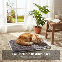 Warm Rectangular soft and velvety pet mat Non-Slip soft and velvety Rectangular Mat Soft pet Bedding adaptable for Dogs, Dog Owners, Small animals, pet carriers, Kennels, Indoors, Floor