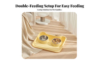 Stainless Steel Double Pet Bowl Spill Proof Cat Food and Water Bowl Set Anti-Slip Base for Cats, Kittens