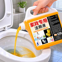 toilet cleaner