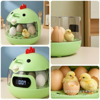 Egg Incubator with Transparent Shell Adjustable Temperature Tabletop Egg Incubator Beginner-Friendly for Beginners, Home Science