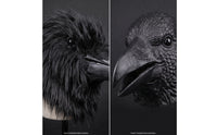 Black Crow Head Mask  Realistic  Crow Face Covering Adult Sized for Cosplayers, Halloween, Theater