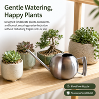Long Spout Indoor Watering Can, Small Metal Watering Can 1000ml, Stainless Steel Spherical Design for Houseplants