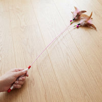 Retractable Feather and Wire Cat Teaser Wand Toy with Bell for Interactive Play