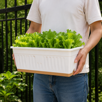 Planter, Flower Pot, Large, Raised Bed, Deep Type, 49×20.5×18cm, Large Capacity, Balcony Garden, Home Vegetable Garden, For Vegetable Cultivation