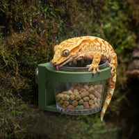 Strong Adhesive Food Cup Easy to Install Herpetological Bowl Stable Grip Herpetological Feeding Bowl Space Saving for Crested Gecko Owners, Terrarium