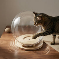 Acrylic Cat Dome Bed Built-in Balls Rotating Cat Bed Pet Furniture Round