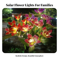 Weather-Resistant LED Flowering Plant Stake Lamp Auto On/deactivate Solar Flowering Plant Light Easy Installation for Gardeners, Homeowners