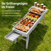Foldable Charcoal Grill, Portable Charcoal Grill for 3-7 People, Camping & Picnic, Painted Iron, Silver 2.8kg