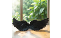 Angel Wings Feathered Feather Wings Wing Accessory Black Lightweight for Halloween, Cosplay