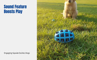 Pet Toy, Two-Color Sports Oval, Squeaky Dog Toy, Interactive, Home Fun