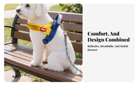 Breathable Vest Design Dog Harness Soft Padded Dog Chest Harness and Leash Set Lightweight for Dogs, Training, Outdoor, Running
