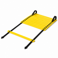 agility ladder set
