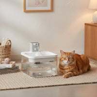 2.5 L Multiple Filtration Feline Water Fountain Ultra Quiet Sensor Water Dispenser for Cats
