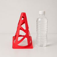 training cone