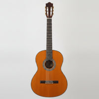 Classical Guitar Glossy Nylon String Guitar Wood-Grain Nylon String Set for Beginners, Casual Guitarists