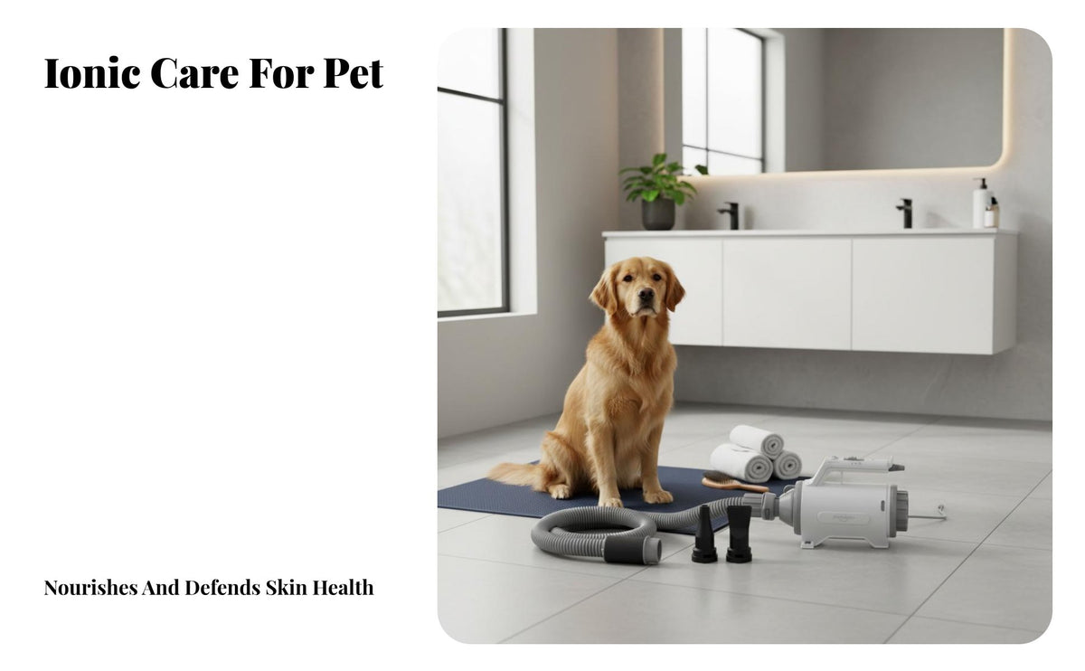 Low Noise Dog Hair Blower and Vacuum Adjustable Speed Pet Hair Vacuum Dryer Powerful Suction All-in-Single Pet Groomer Quick Dry for Home Groomers