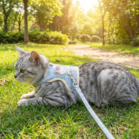 Cat Harness and Leash Set for Outdoor Cat, Soft Textile Construction, Non-Retractable Cat Walking Leash for Training and Walking