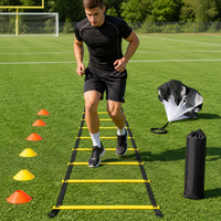 agility ladder set