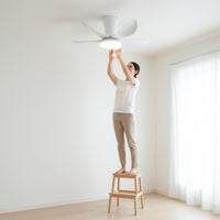 Overhead Fan Chandelier Light Quiet Chandelier Fan Dimmable Home Lighting for Bedroom