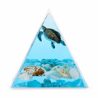 Coastal Pyramid Ornament with Shells Clear Resin Pyramid Elegant Paperweight Shining for Bedside Table