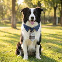 Plaid Pet Bandana with Bow Tie, combined Dog Bandana and Cat Bandana for Large Dogs, Tie Adjustable Dog Gift with One-Piece Design