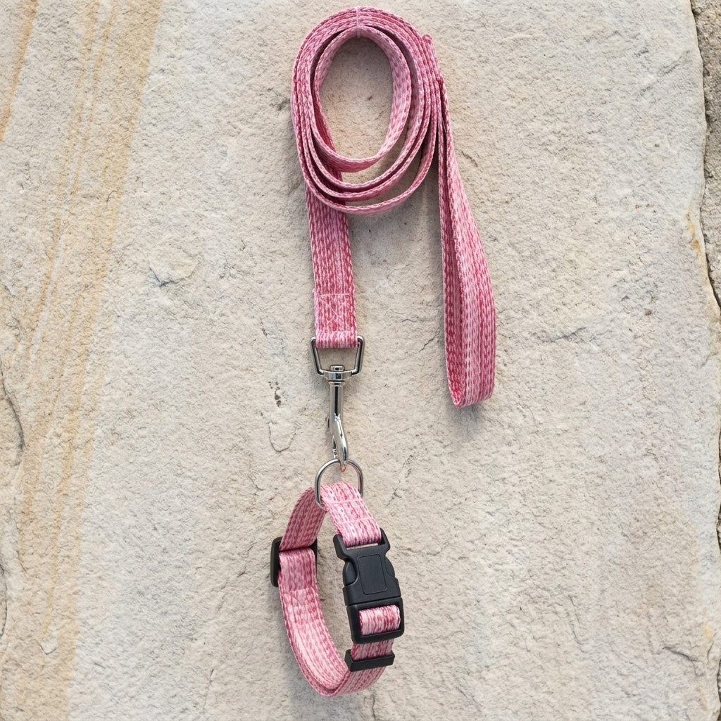 Small Dog Leash and Set for Pet Walking, Medium Dog Leash with Loop Handle, Small Cat Leash and Medium Cat Leash, Polyester Material