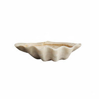 Shell Fruit Tray Unique Wave-Like Design Bowl Versatile Fruit Bowl for Shelf