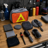 car cleaning kit