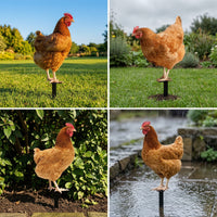 3 Pieces Chicken Garden Stake Weatherproof Acrylic Chicken Stake Decorations Waterproof Farmhouse for Gardeners, Lawn