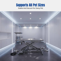 Pet Surgery Table, Stainless Steel Table, Multi-Functional Grooming Desk for Dogs and Cats