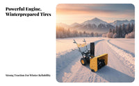ice removal machine, Hand-Push Small winter Removal Machine, Outdoor path Cleaning Equipment for Property, Multi-Function