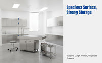 Pet Surgery Table, Stainless Steel Table, Grooming Desk for Dogs and Cats, Multi-Functional Veterinary Surface