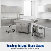 Pet Surgery Table, Stainless Steel Table, Grooming Desk for Dogs and Cats, Multi-Functional Veterinary Surface