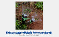Fruit Tree Grafting Bag, Wrapping Film, Moisture Retention, Auto-Sealing, Transparent, Gardening Use