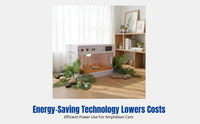 Amphibian Thermostat Enclosure, Automatic Incubator, Acrylic & Wood Terrarium, Temperature Control for Turtles, Amphibians