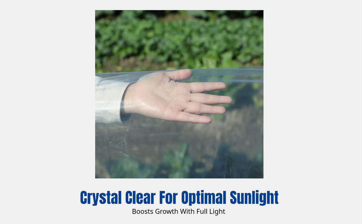 Thickened Greenhouse Film, Insulation, Freeze-Resistant, Transparent PE Sheet for Vegetable Planting, Agricultural Garden