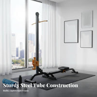 Space-Saving Dumbbell Rowing Machine, Adjustable Weight, Foldable, Home Gym Equipment