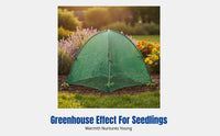 Garden Sprout Cover, Transparent Cold Protection, Bird Barrier