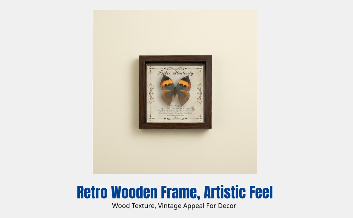 Real Moth Specimen Frame, Vintage Wooden DIY Display, Home Decor, Birthday Gift