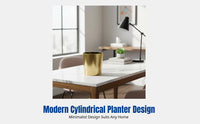 Modern Minimalist Cylindrical Ceramic Flower Pot, Gold Electroplated, Creative Hydroponic Planter for Orchids, Home Garden Decor