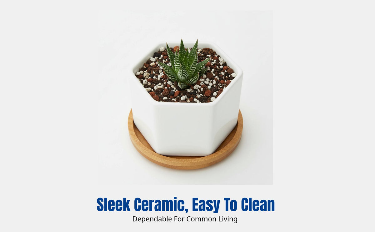 Ceramic Hexagonal Mini Planter, Creative Desktop Flowerpot for Home Decor