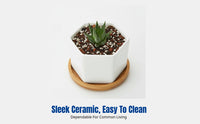 Ceramic Hexagonal Mini Planter, Cream Pot, Desktop Flower Pot for Home or Office