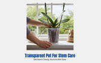 Transparent Breathable Flower Pot, Base Control, For Moth Orchids, Adaptable