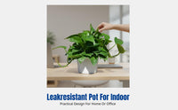 Resin Flower Pot Planter, Leak-Resistant Desktop Pot, Minimalist Contemporary Greenery for Home & Office