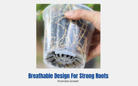 Clear Breathable Flower Pot, Thickened Planter, Ideal for Roses, Dendrobium, Phalaenopsis