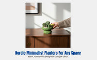 Succulent Cactus Bonsai, Moss Ball Tray Planter, Nordic Minimalist Cement Pot, Living Room Office Desktop Decor