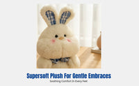Plaid Bunny Plush Doll, Cute Bunny Toy, Soft Lamb Fleece, Gift, Home Decor, Claw Machine, Random Design