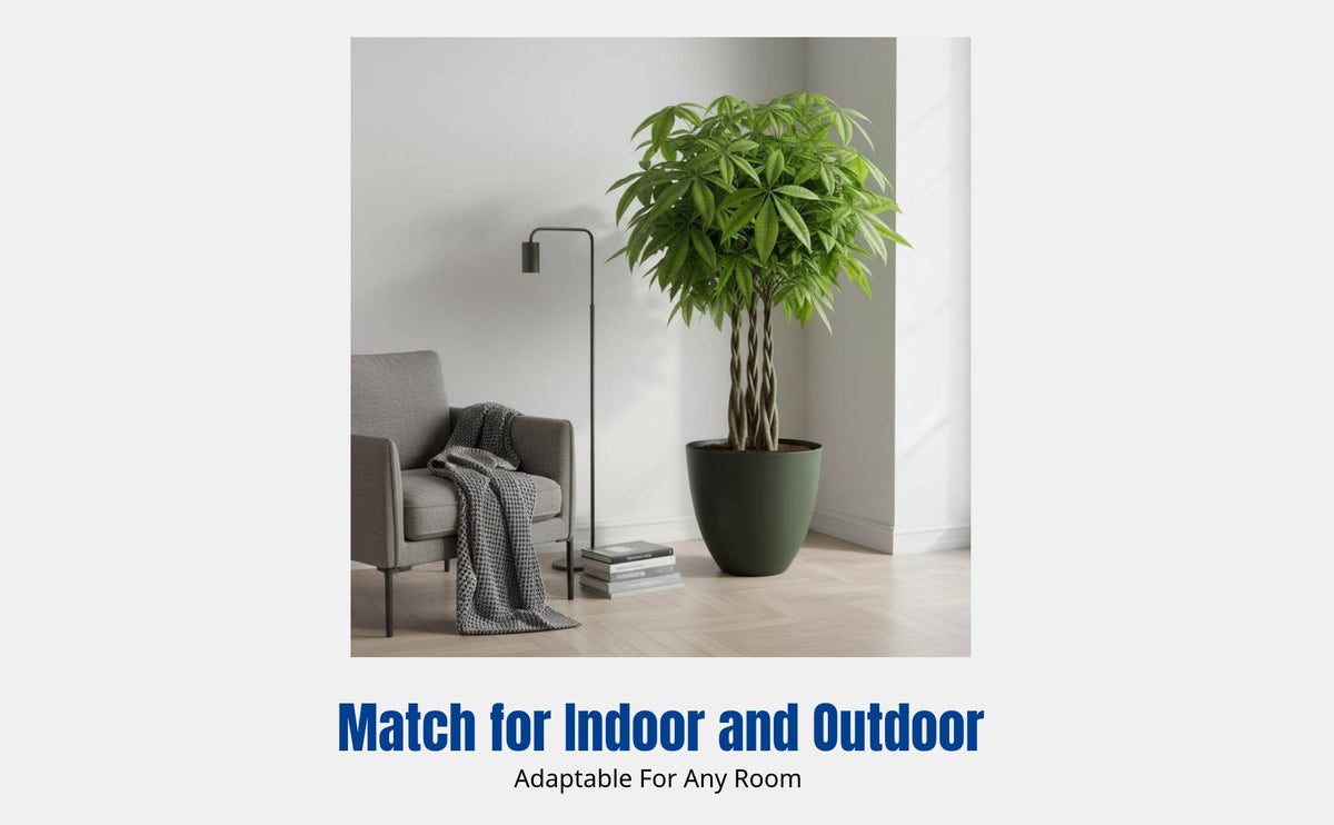 Nordic Round Flower Pot, Large Diameter, Minimalist Floor Planter, for Money Tree, Flower, Indoor, Outdoor