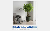 Nordic Round Flower Pot, Large Diameter, Minimalist Floor Planter, for Money Tree, Flower, Indoor, Outdoor